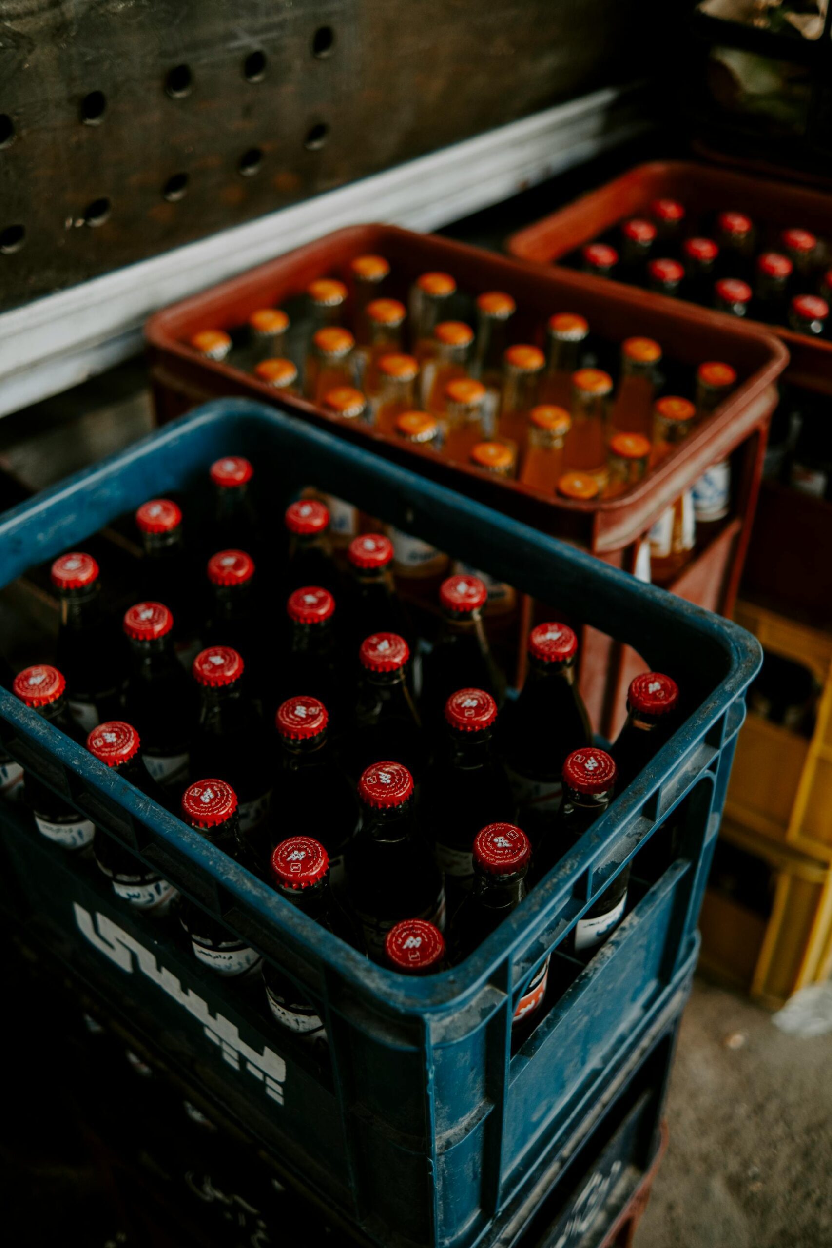 distribucion-bebidas